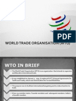 World Trade Organisation (Wto)