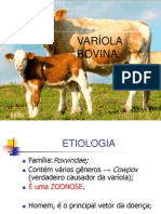 Varíola Bovina Apresentação