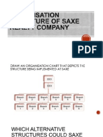 Organaization Structure SAXE