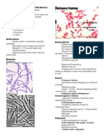 Bacillus and Clostridium Species: Spore-Forming Gram Positive Bacilli