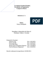 Relatório Lab. Fisica Força Centripeta Final