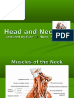 Head and Neck