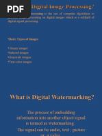 Digital Watermarking