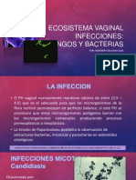 Ecosistema Vaginal