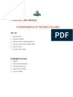 Hydrodynamics of Packed Colomn