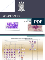 MONOPOYESIS