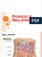 Small Intestine