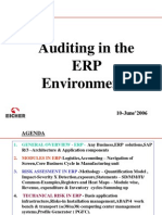 Auditing in SAP Environment