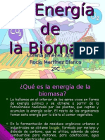 La Energía de La Biomasa