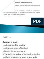 Anatomy of The Female Pelvis