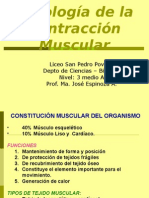 Contracción Muscular - 3ero