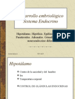 Desarrollo Embriológico Sistema Endocrino 1