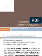 Neurocráneo y Viscerocráneo