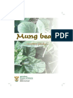 Mung Bean