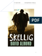 Activities Skellig