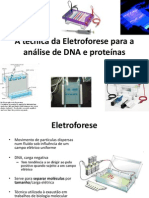 PCR Eletroforese