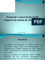 CI - Adesão de Moçambique No Protocolo Comercial Da SADC Impacto