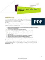 Novozymes LiquefactionApplicationSheet