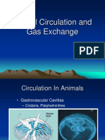 Animal Circulation and Respiration