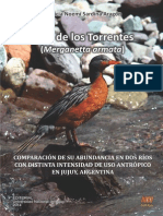 Pato de Los Torrentes (Merganetta Armata) - COMPARACIÓN DE SU ABUNDANCIA EN DOS RÍOS CON DISTINTA INTENSIDAD DE USO ANTRÓPICO EN JUJUY, ARGENTINA