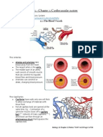 Bio 12 Ch12 Cardiovascular Sys Notes Package