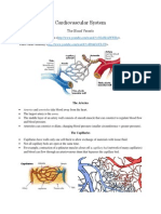 Cardiovascular System