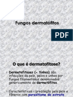 Dermatofitos