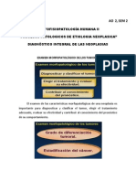 MFPH Ii - Ao 01 PDF