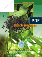 Book Black Pepper POP