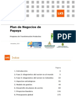 Plan de Negocio Papaya Diciembre