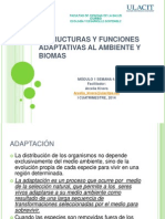 Semana 4 - Estructuras y Funciones Adaptativas Al Ambiente