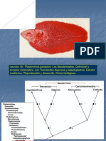 Leccion 18 Los Trematodos Digenea