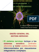 Organización Del Sistema Nervioso, Neurona-Sinapsis PDF