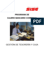 Gestion de Caja y Tesoreria