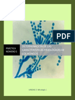 MGII - Practica - 10 - Determinación de Las Características Fisiólogicas de Los Hongos