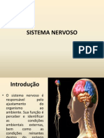 Aula Sistema Nervoso Fufs