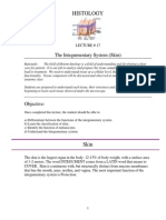 The Integumentary System (Skin) : Histology