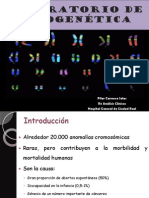 Laboratorio de Citogenética PDF