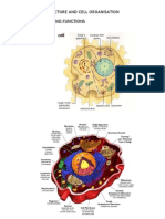 Chapter 2 Cell Structure and Cell Organisation 2.1 Cell Structure