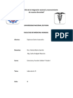 Laboratorio 6