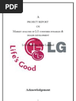  LG Summer Project