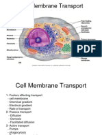 Cell Membrane Transport