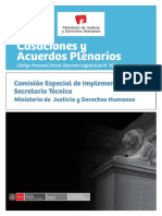 Casaciones y Acuerdos Plenarios PDF