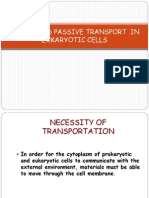 Active and Passive Transport