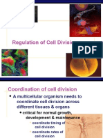 Regulation of Cell Division: AP Biology