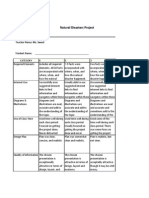 Natural Disaster Rubric 2