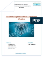 SI Et Controle de Gestion