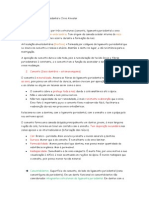 Cemento - Ligamento Periodontal - Osso Alveolar PDF