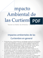 Impacto Ambiental de Las Curtiembres