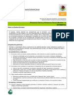 02 Perfil de Egreso de PT y PTB en Informatica